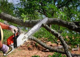 Best Lawn Watering Services  in Alto, TX