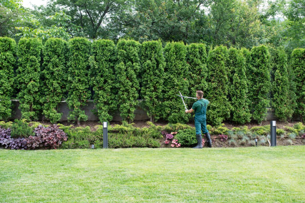 Best Arborist Consultation Services  in Alto, TX